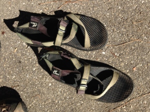 The resurgence of the Chacos!