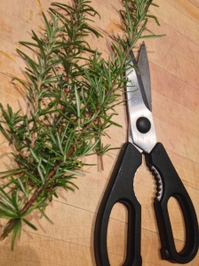 A wonderful thing about living in the Pacific Northwest is rosemary grows like a weed.